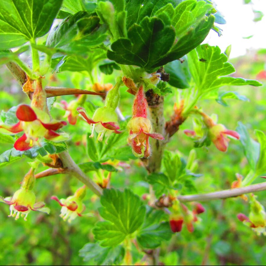 Shutterstock 638167582 Edited