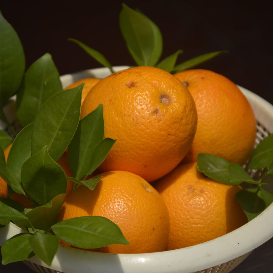 תפוז ולנסיה פירות