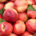 נקטרינה לבנה