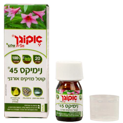 עיצוב ללא שם 2025 08 19t110358.511