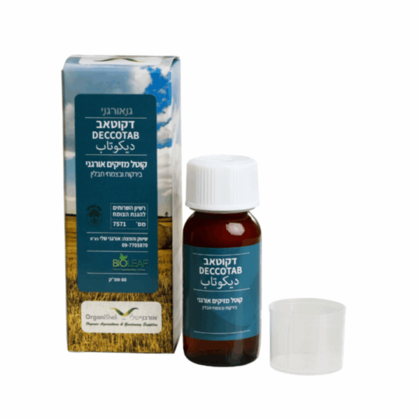 עיצוב ללא שם (85)