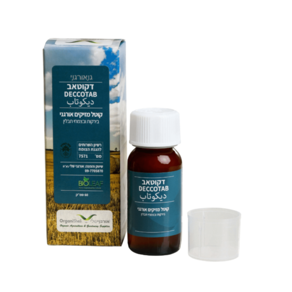 עיצוב ללא שם (85)